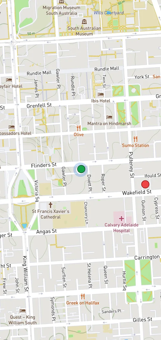 Novel Route map of central Adelaide showing street libraries as coloured dots, with the user's location